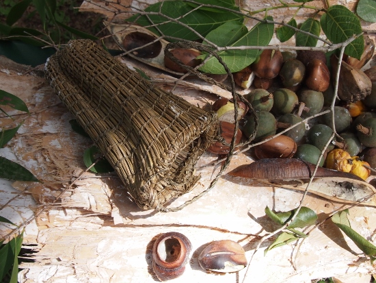  Aboriginal bush foods and medicines Dilly bag