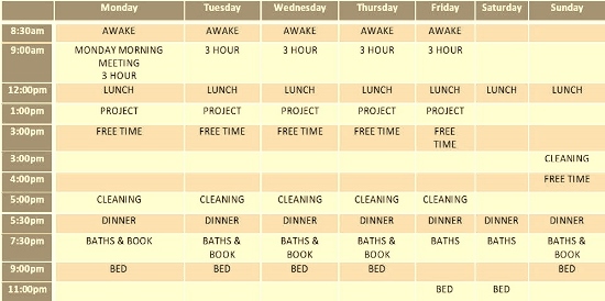 Tamara timetable photo (550x274) (2)