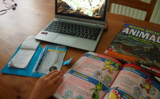 Pokemon homeschooling blog