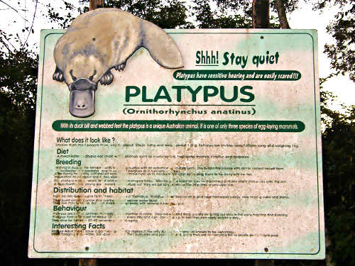 platypus signs (500x375)
