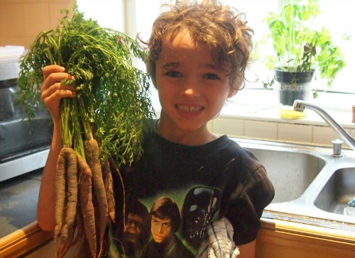 food homeschooling purple carrots blog