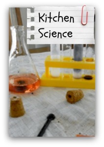 Kitchen Science kit