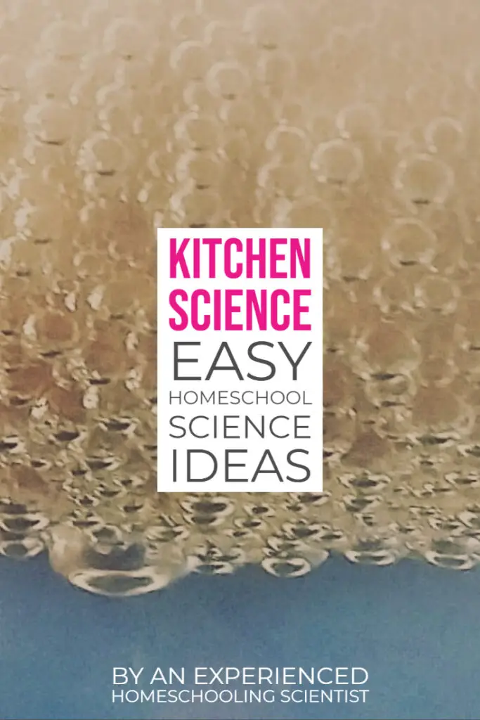 Kitchen Science easy homeschool science ideas egg bubble