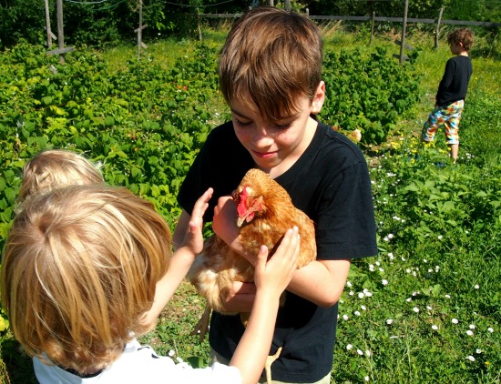 Oranic Farming Italy