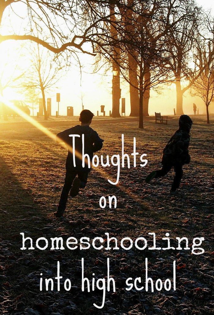 Thoughts on homescholing into highschool. How has homeschooling turned out and how we feel about ebterring the high school years as a homeschooling or unschooling family.