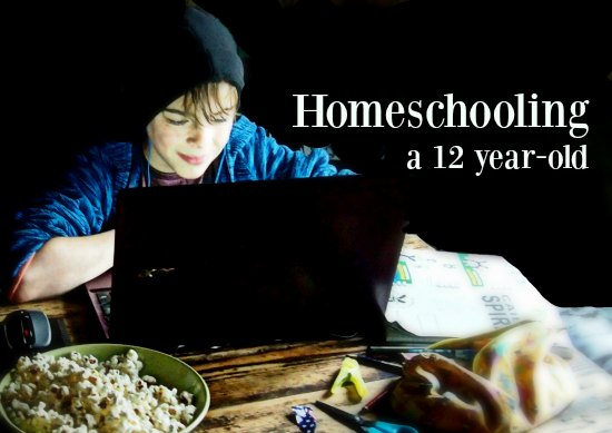 Homeschooling a 12 year old