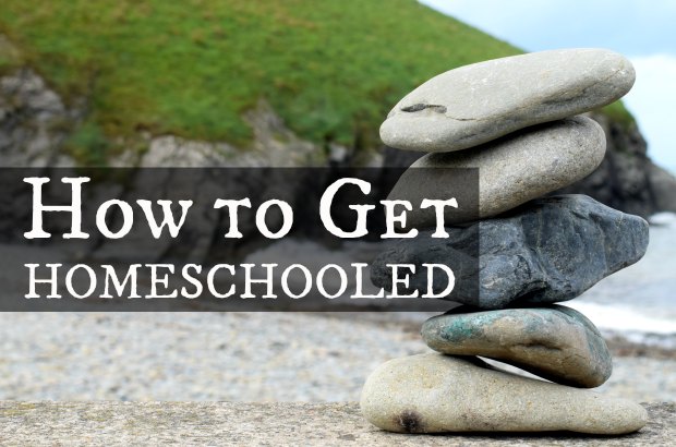 how-to-convince-your-parents-to-homeschool-you-homeschool-group-hug