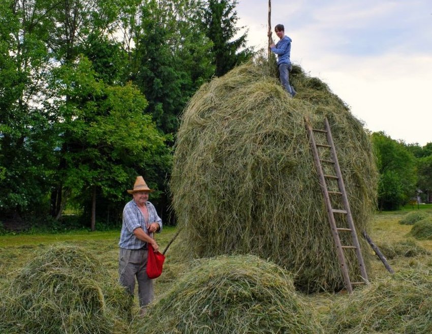 making haystacks wildschooling in summer